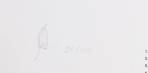 Martin Warnke - Ohne Titel, 1995 kopen? Bied vanaf 1!