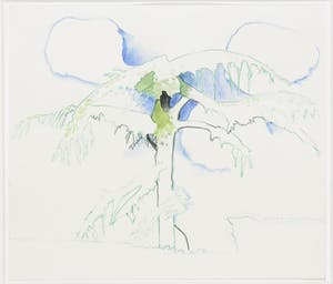 Ed Valk - Potloodtekening, Tree in Istanbul kopen? Bied vanaf 50!