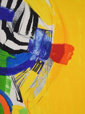 Frank Lejeune - Lakota - Ingelijst - Groot kopen? Bied vanaf 50!