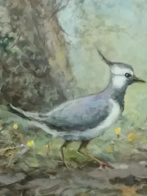 Jan Schaeffer - Kieviten kopen? Bied vanaf 75!