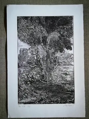 Gerard Bellaart - gesigneerde ets kopen? Bied vanaf 20!