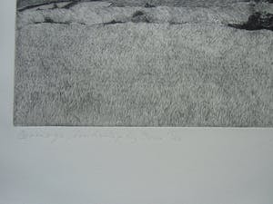 Jan Hein van Rooy - BORINAGE./LANDSCHAP BIJ DOUR kopen? Bied vanaf 45!