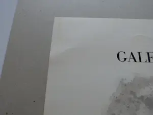 Salvador Dali - Die sieben Todsünden kopen? Bied vanaf 180!