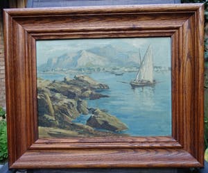 Theo Goedvriend - Mediterraan kustgezicht kopen? Bied vanaf 95!