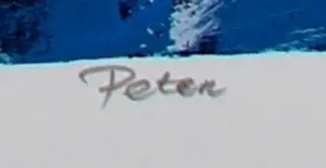 Peter Zonneveld - Zeefdruk: Haan - 2002 kopen? Bied vanaf 45!