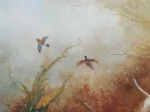 Pieter Dik - Jachthond schrikt fazanten op kopen? Bied vanaf 1250!