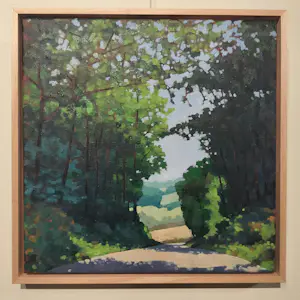 Willem Visser - De weg naar Douzains kopen? Bied vanaf 190!