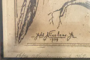 Johannes Nicolaas jr. - Neushoornvogel kopen? Bied vanaf 30!