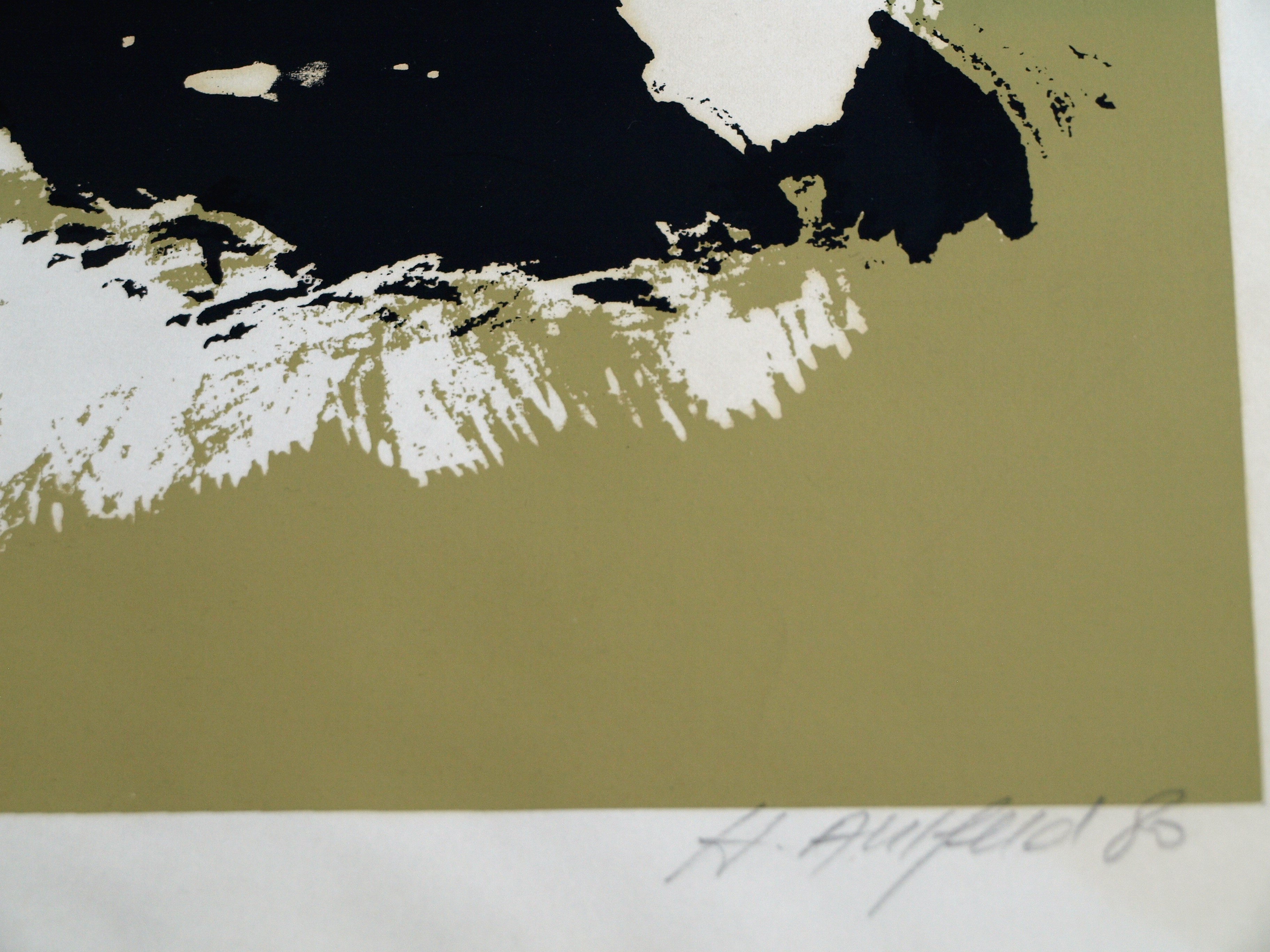 Niet of onleesbaar gesigneerd - Zeefdruk , 2 Zwarte kippen – gesigneerd – 1980 – oplage 10/20 kopen? Bied vanaf 1!