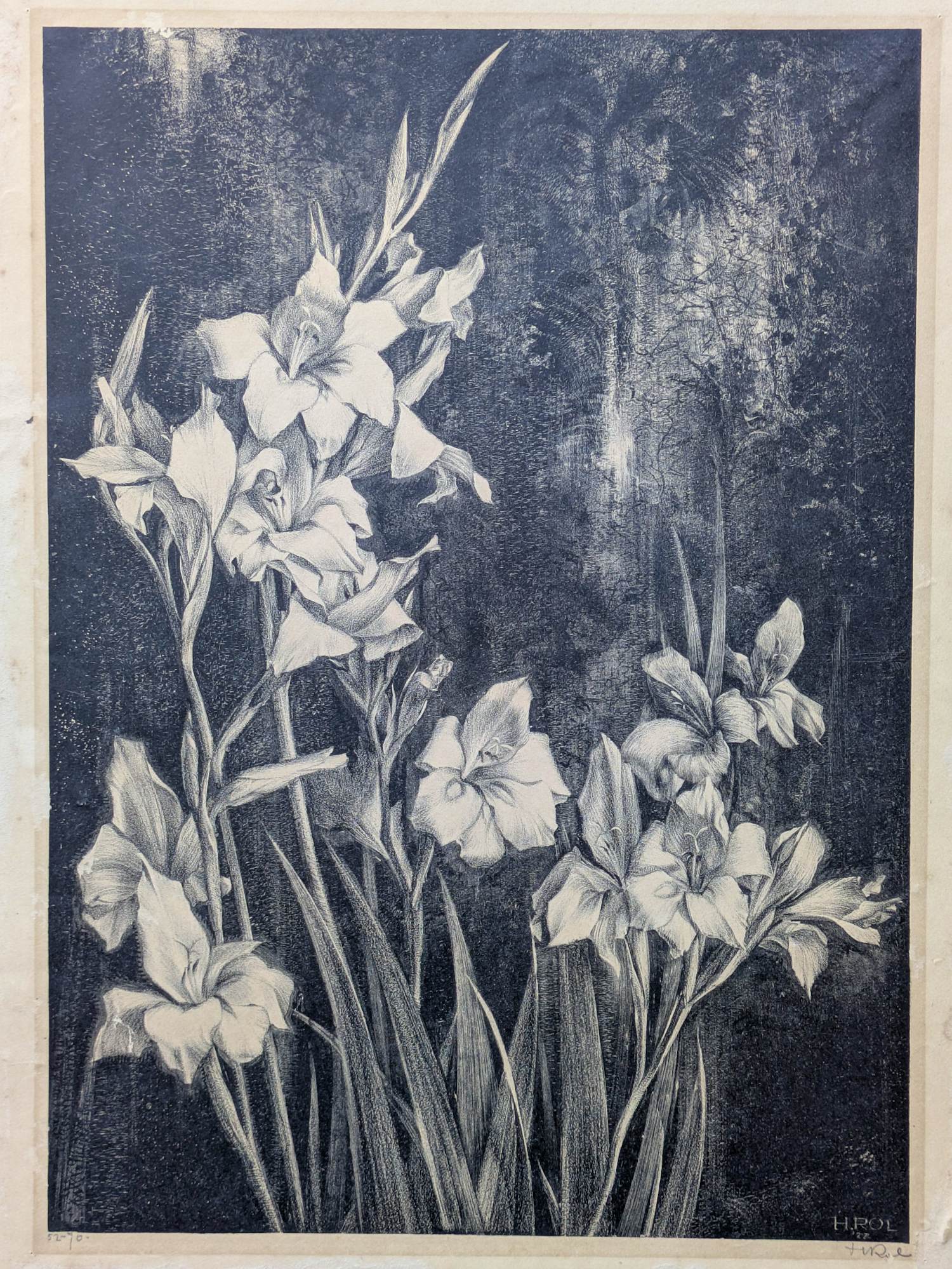 Henricus Rol - 1927-Bloemen kopen? Bied vanaf 50!