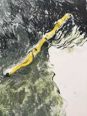 Pascale Ticheler - Litho, van tekening, gesigneerd, oplage 4/25, ingelijst met passe-partout kopen? Bied vanaf 65!