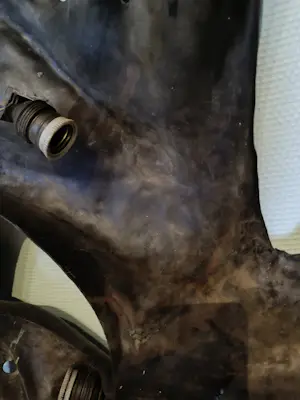 Walter De Buck - 'De Zon' kopen? Bied vanaf 10000!