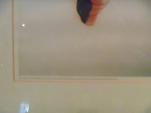 Alan David-Tu - Deze foto maakt deel uit van de Randstad fotocollectie werk kopen? Bied vanaf 25!