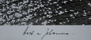 Aart Klein - Silverprint: vogel boven water kopen? Bied vanaf 49!