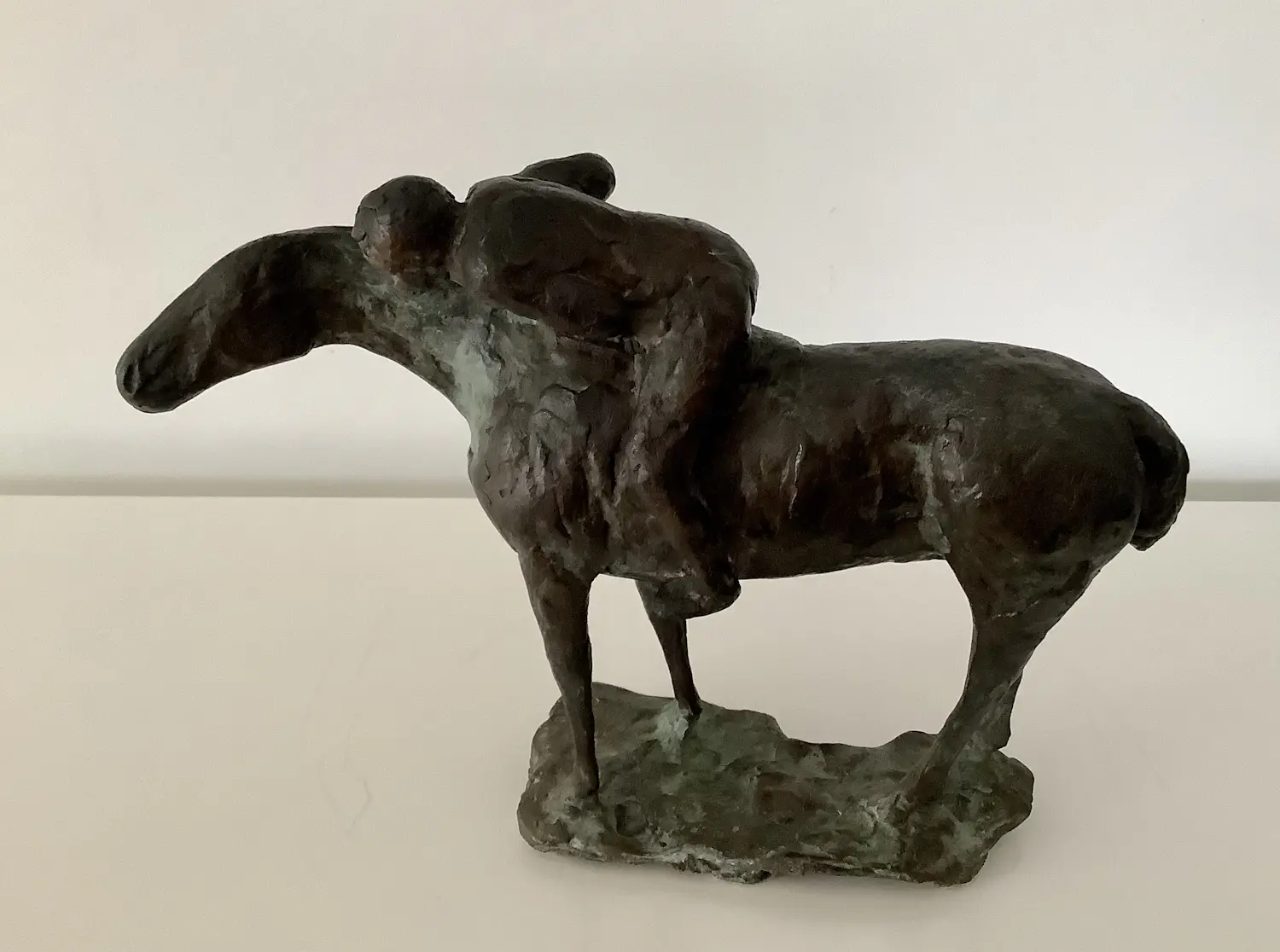 Monica Rotgans (1951)