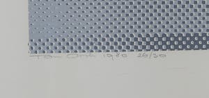 Ton Orth - Zeefdruk, Floating form - Ingelijst kopen? Bied vanaf 20!