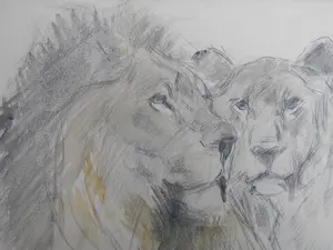 Jan van Essen - Leeuw en leeuwin kopen? Bied vanaf 300!