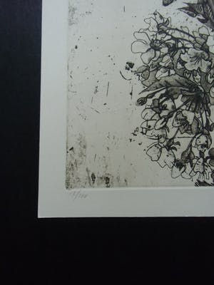 Jan Prins - BLOESEMTAK kopen? Bied vanaf 30!