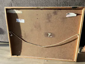 Sebo Detmers - Noord Laren kopen? Bied vanaf 450!