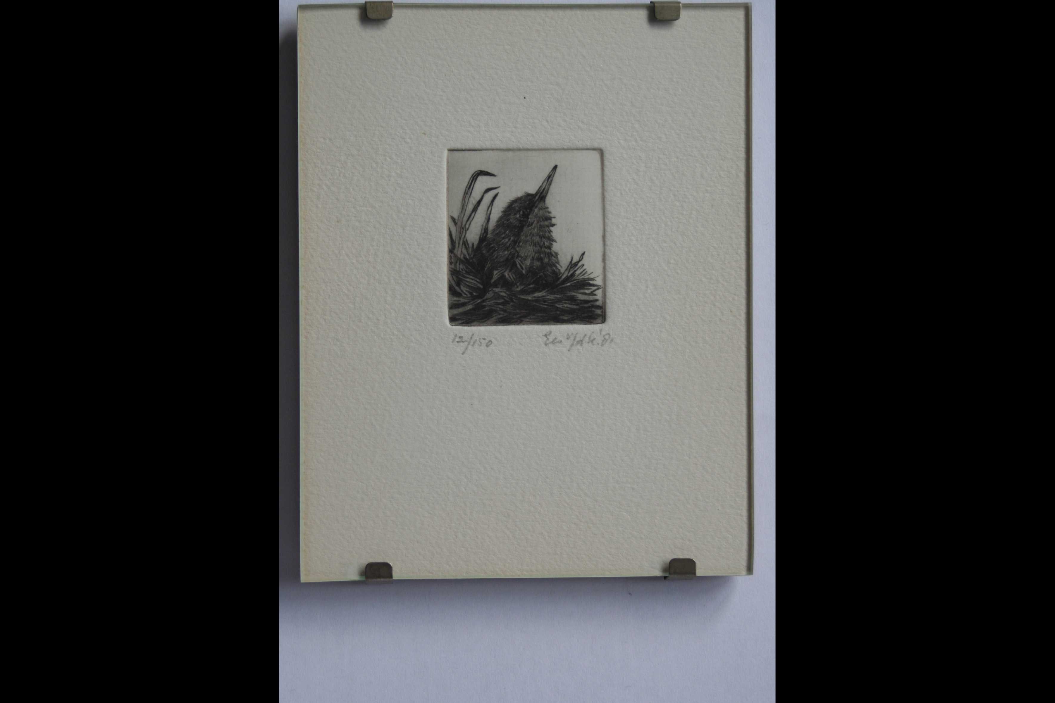 Niet of onleesbaar gesigneerd - vogeltje - 1981 - gesigneerd - 2 stuks kopen? Bied vanaf 1!