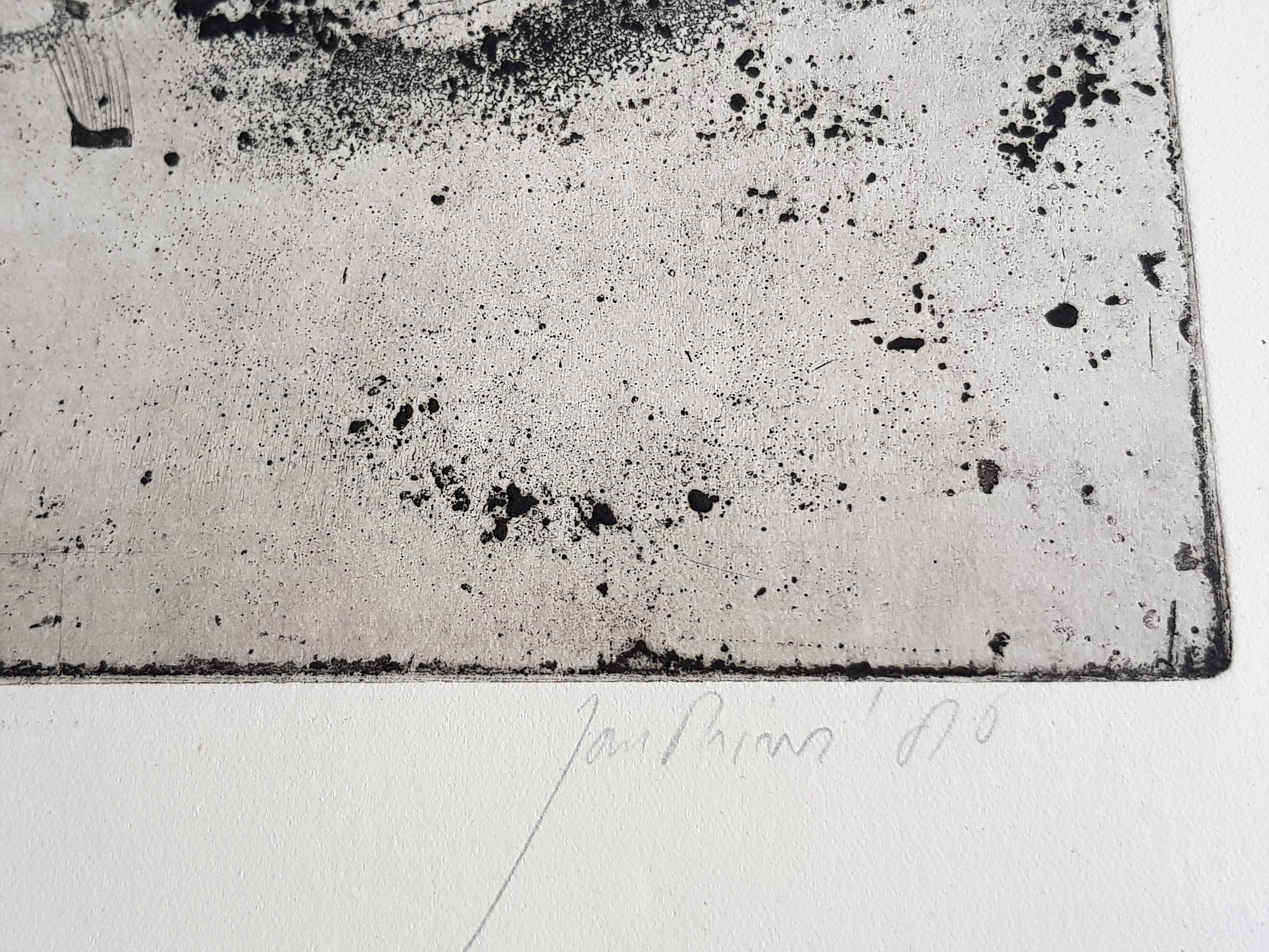 Jan Prins - Ets - Gesigneerd 1986 kopen? Bied vanaf 15!