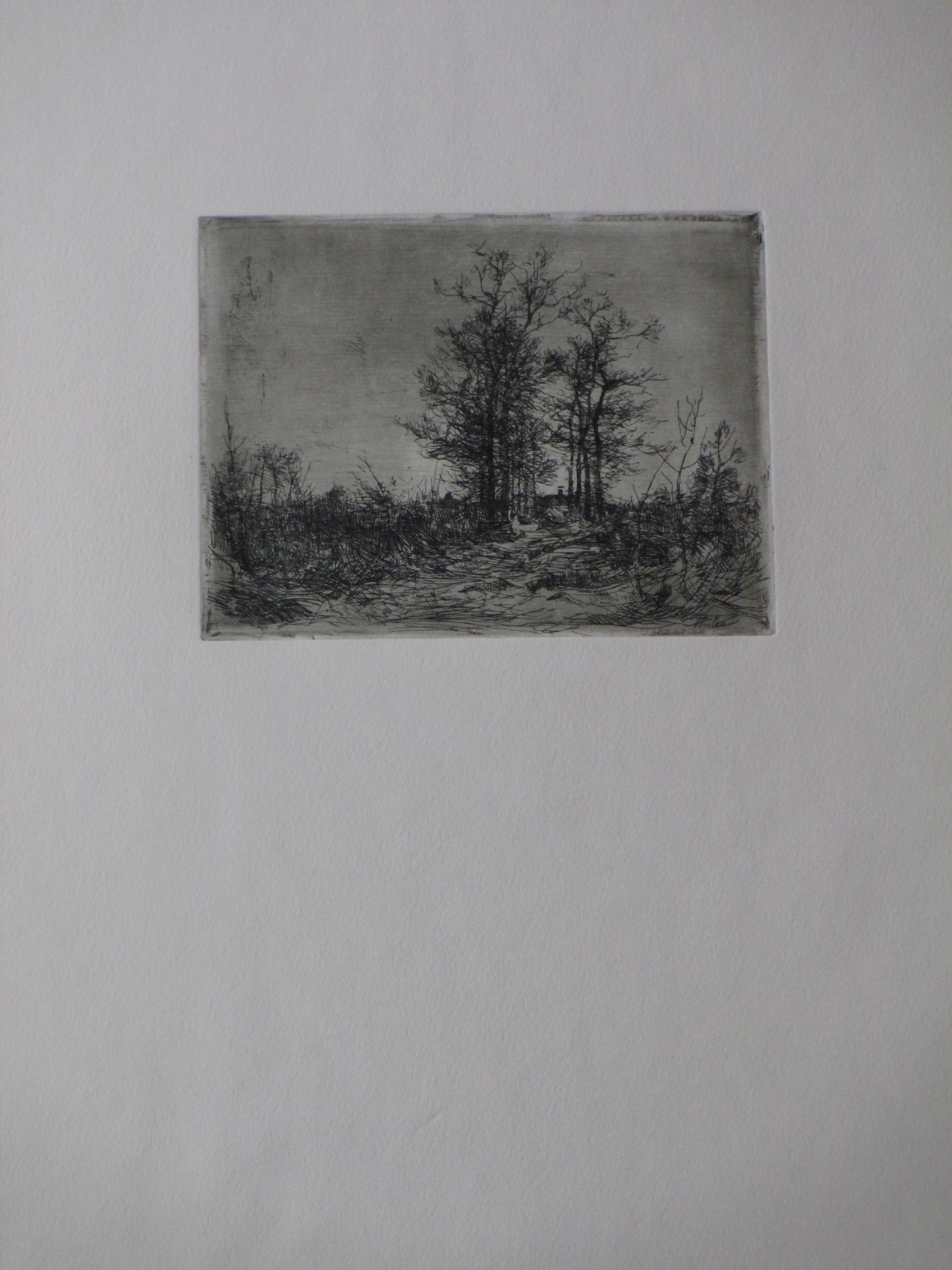 Willem Bastiaan Tholen - Laantje bij Ewijkshoeve - Ets kopen? Bied vanaf 35!