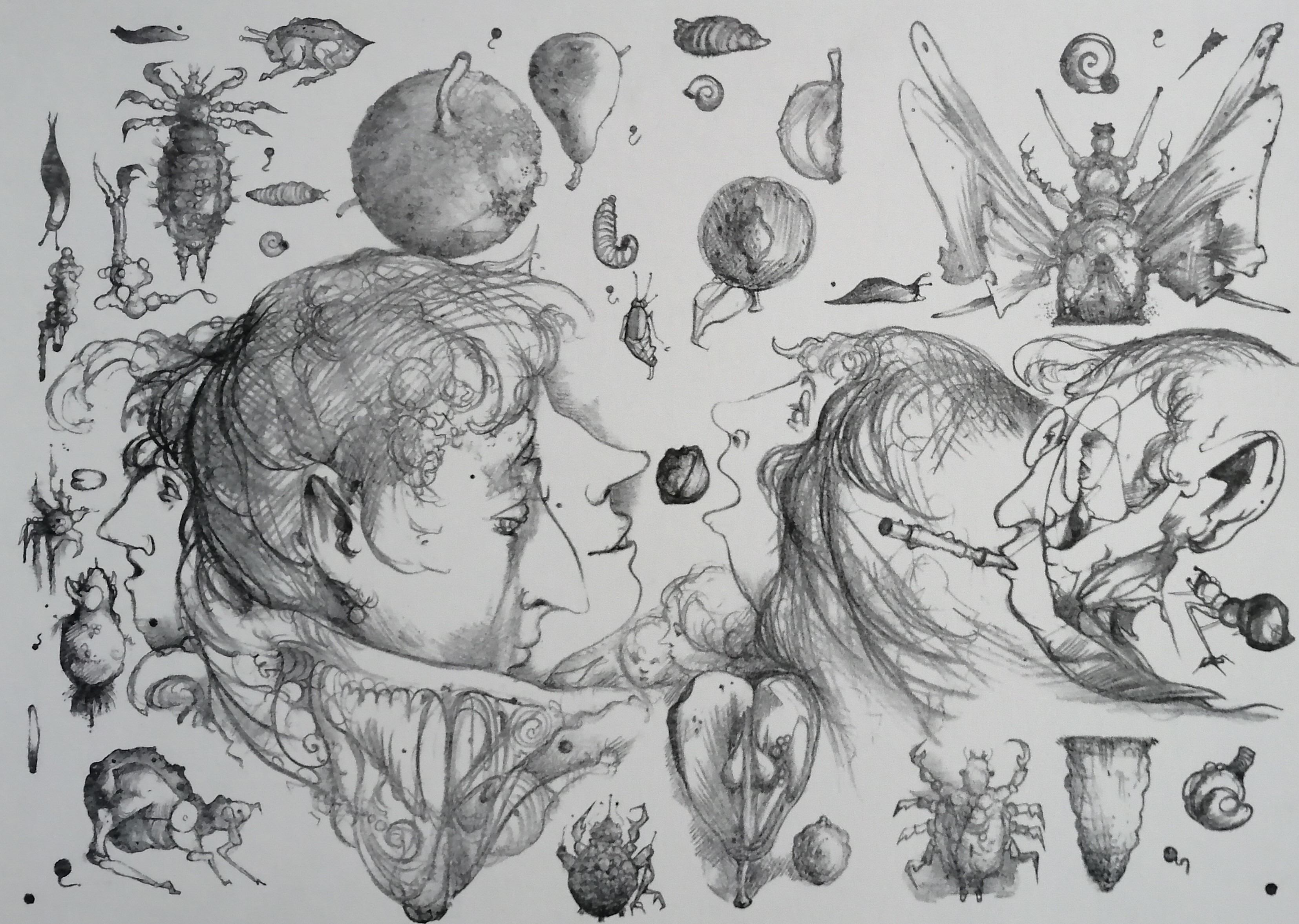 Dirkje Kuik - Winkel van .......? kopen? Bied vanaf 45!