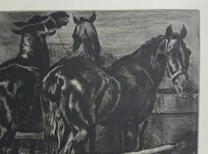 Kuno Brinks - Zwarte paarden. Eigen druk. kopen? Bied vanaf 89!