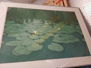 Jean Paul Vroom - Waterlelies met riet kopen? Bied vanaf 150!