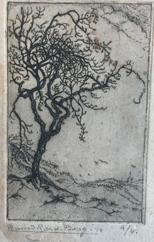 Ruurd van den Berg - C4201 - boom in duinlandschap kopen? Bied vanaf 50!