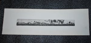 Els Cuppen - grazende koe - ets in breed formaat: 4x32 cm kopen? Bied vanaf 20!