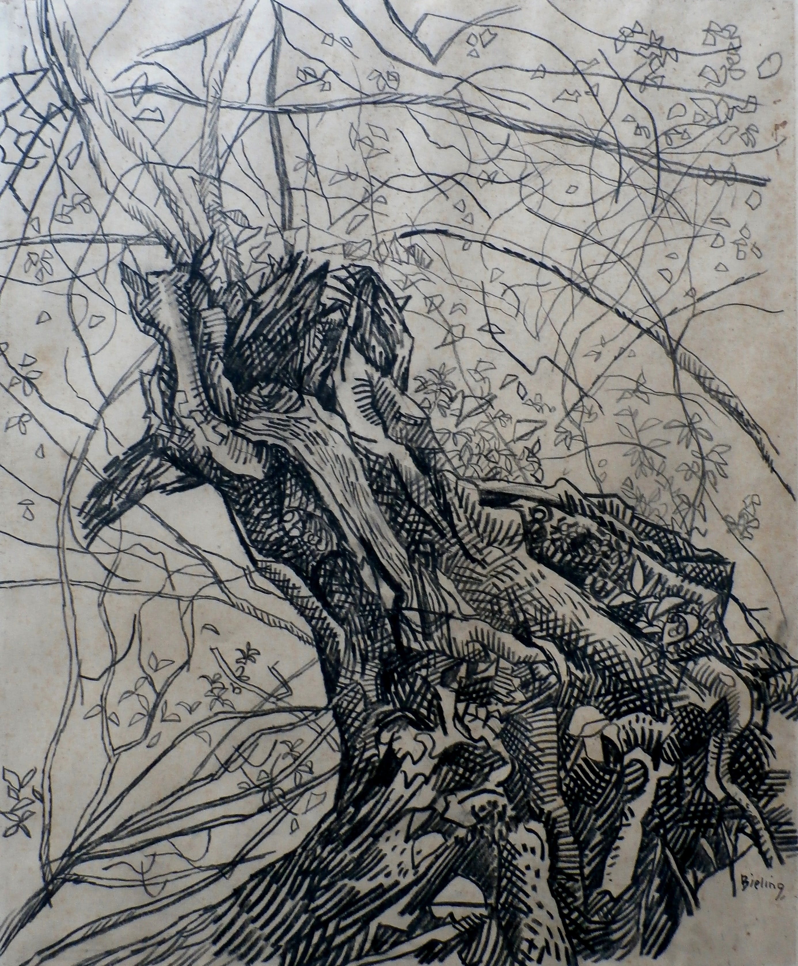 Herman Bieling - potloodtekening: boom verkocht voor € 40!