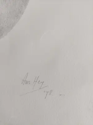 Ans Hey - Gezin kopen? Bied vanaf 35!