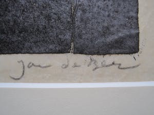 Jac. de Beer - Verstilde handingekleurde Houtsnede "Zonnebloem" kleine oplage 3/50 kopen? Bied vanaf 20!