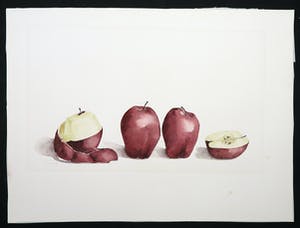 Niet of onleesbaar gesigneerd - Aquarel, Appels kopen? Bied vanaf 1!