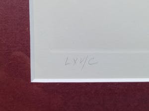 Leonor Fini - Dame in peignoir. kopen? Bied vanaf 79!