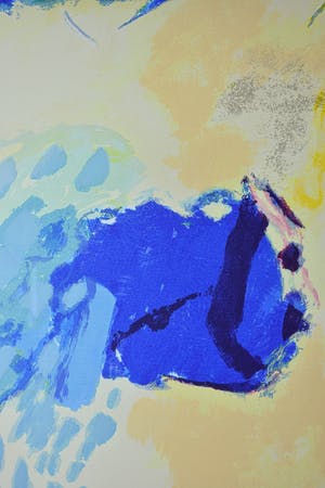 Henk van Vessem - A day full of colours kopen? Bied vanaf 1!