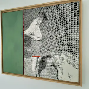 Erwin van Krey - Franzl kopen? Bied vanaf 150!