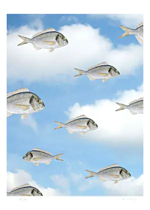 Mr. Strange - A Contre-courant! kopen? Bied vanaf 100!