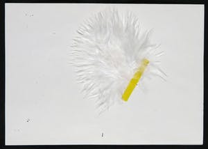 Henk Peeters - Zeefdruk, Het Veertje (inclusief veertje) kopen? Bied vanaf 250!