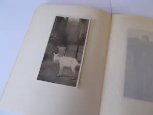 Jan Mankes - door A.Mankes-Zernike genummerde luxe uitgave kopen? Bied vanaf 375!
