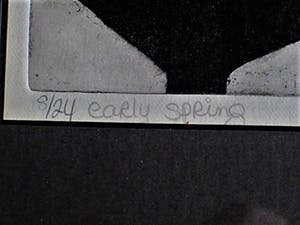 Niet of onleesbaar gesigneerd - Kleine Oplage (8/24) Droge Naald Ets "early spring" gesigneerd kopen? Bied vanaf 1!