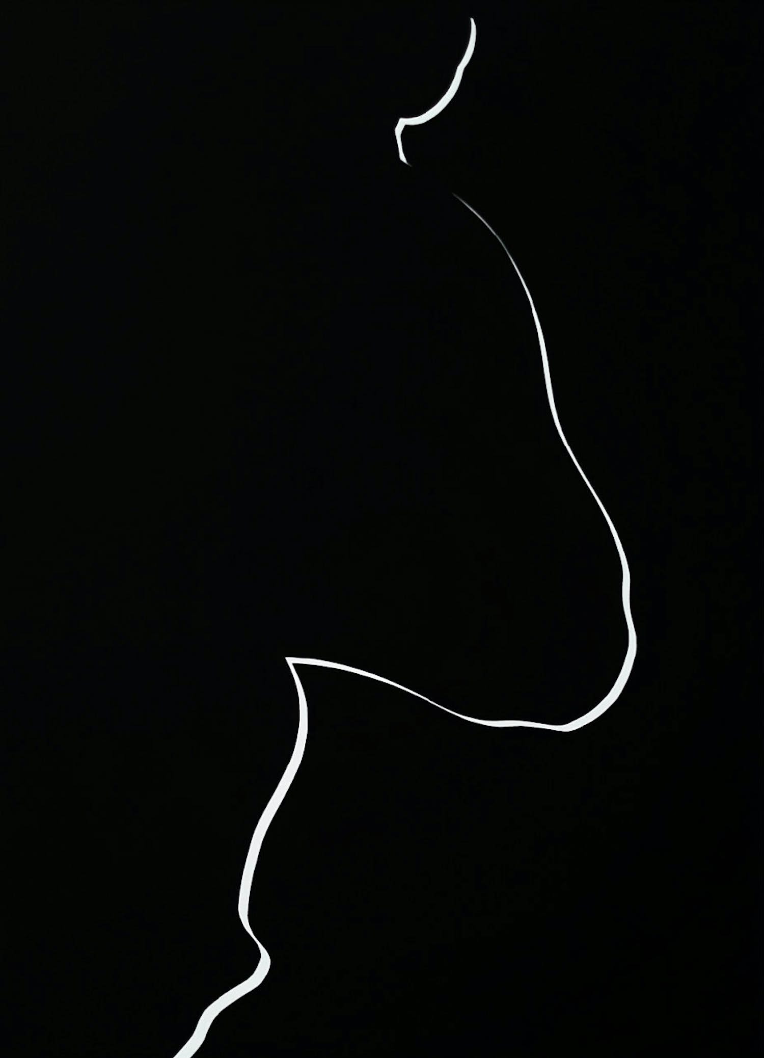 Harry van Kuyk - Contour, zeefdruk verkocht voor € 50!