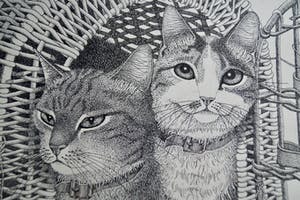 Ella van Schaik - twee poezen in een mandje kopen? Bied vanaf 10!