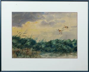 Jo Schrijnder - Aquarel, Landschap met twee eenden boven het riet - Ingelijst kopen? Bied vanaf 1!