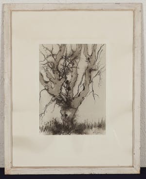 Randi Doorman - Boom - 1965 - gewassen inkt op papier - BKR Amsterdam kopen? Bied vanaf 20!