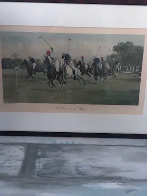George Wright - Polo Paarden A Question of Pace kopen? Bied vanaf 90!