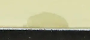 Ad Arma - Ets op papier op dibond, L' arbre II (Zeer groot) kopen? Bied vanaf 70!