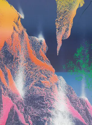 Vincent Mengin-Lecreult - Evolution kopen? Bied vanaf 35!