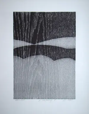 Franz Eggenschwiler - Clearing II, 1992 - Originele houtsnede, handgesigneerd kopen? Bied vanaf 160!